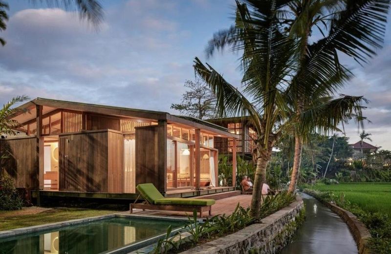 Grün canggu 1